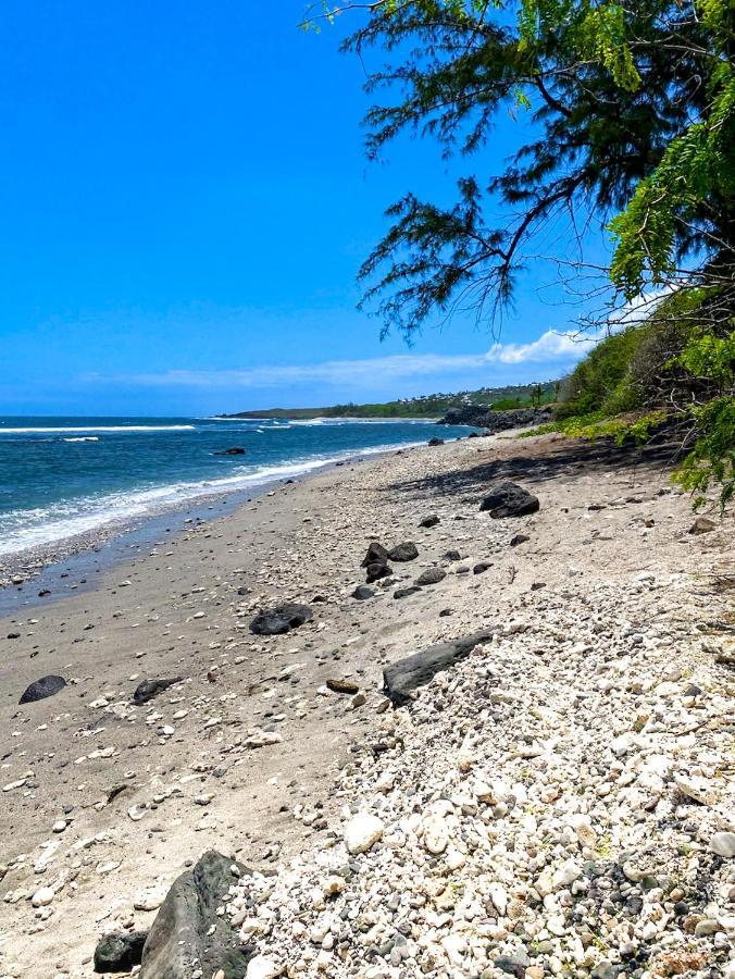 Le Petrel Bleu - Appartement Sur La Plage Des Tortues A Saint-Leu Esterno foto