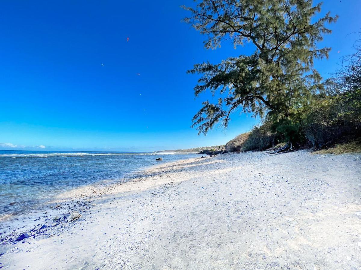Le Petrel Bleu - Appartement Sur La Plage Des Tortues A Saint-Leu Esterno foto